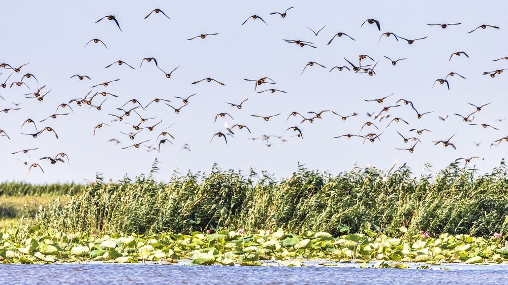 Photograph by Анатолий Салтыков