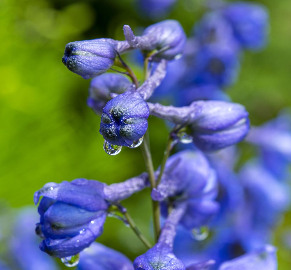 Photograph by Блохина Ольга