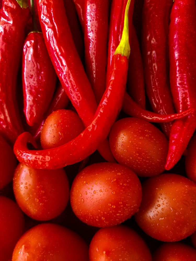 Photograph by Максим Зенкевич