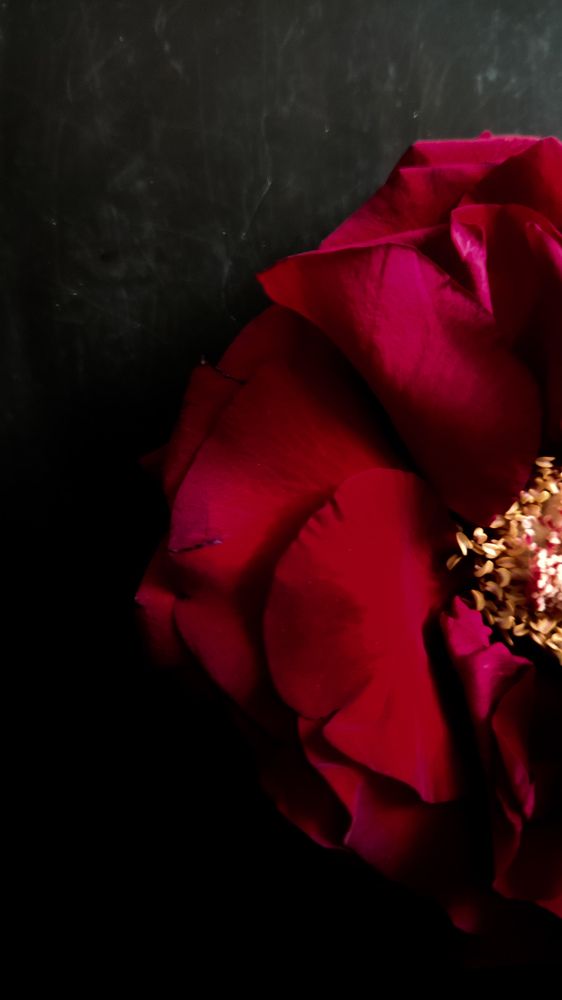 Photograph by Максим Зенкевич