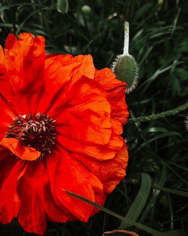 Photograph by Максим Зенкевич