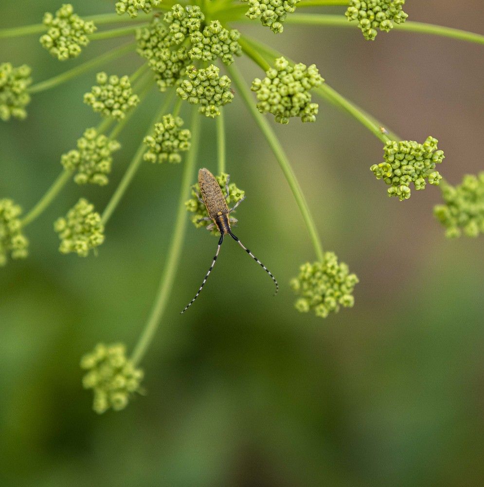 Photograph by Доляна Ашкова