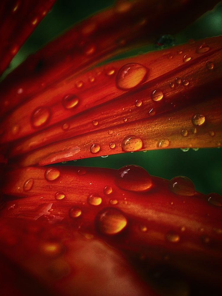 Photograph by Konstantin Martynov