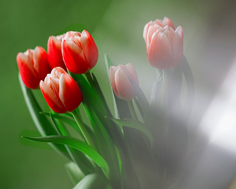 Photograph by Людмила ЧЕРНИКОВА