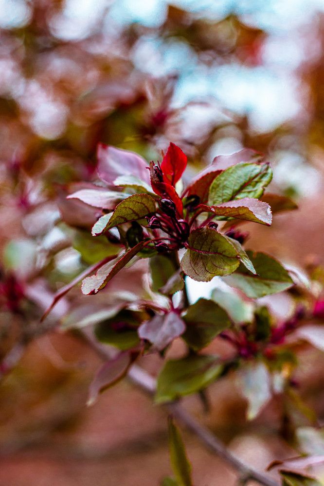 Photograph by Сергей Аникушин