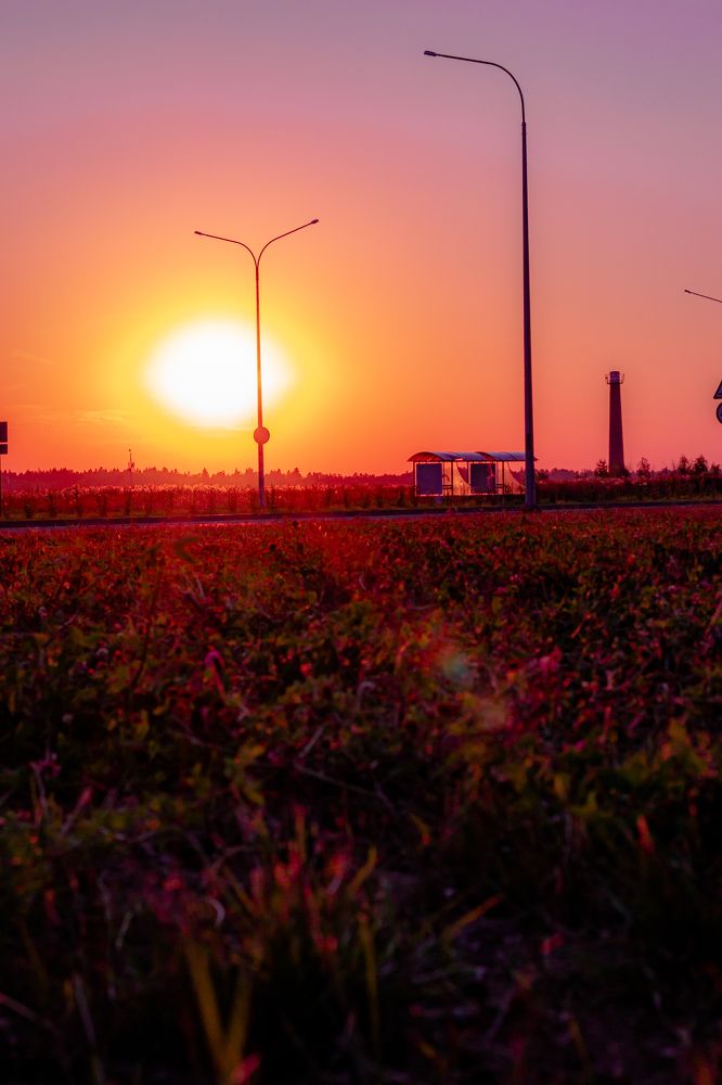 Photograph by Сергей Аникушин