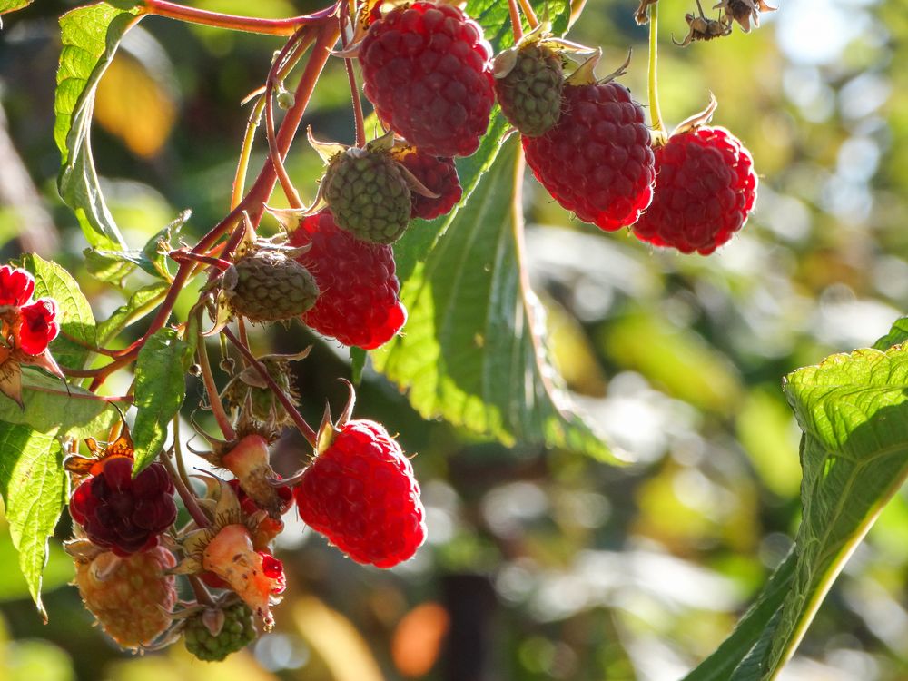 Photograph by Анжелика Трошина