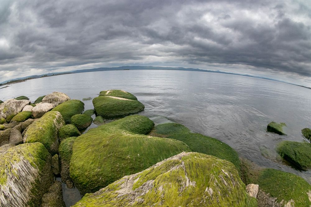 Photograph by Алексей Середенин