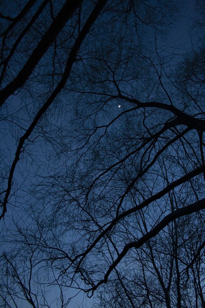 Photograph by Нелли