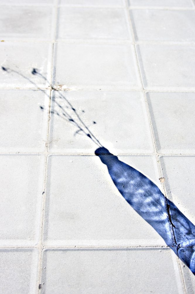 Photograph by Нелли