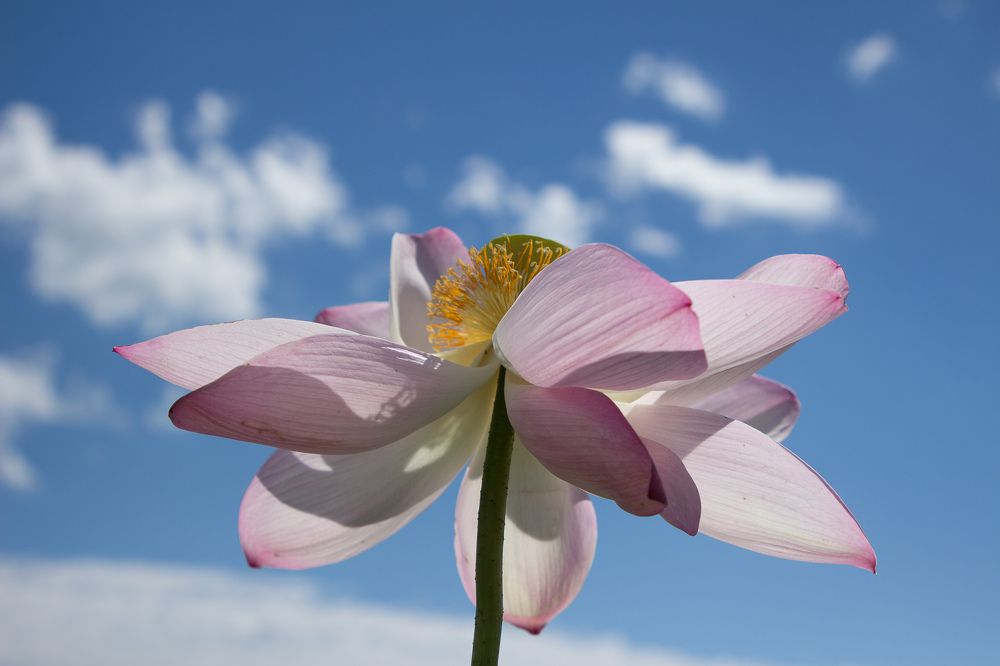 Photograph by Елена Кондратьева