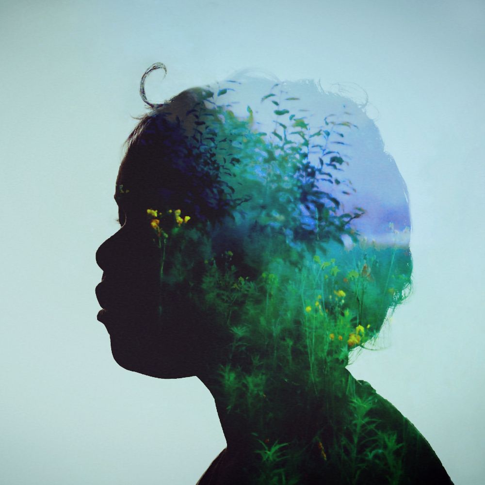 Воспоминания о лете