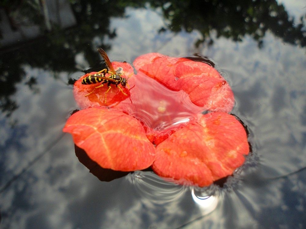 Photograph by Дмитрий Соколов