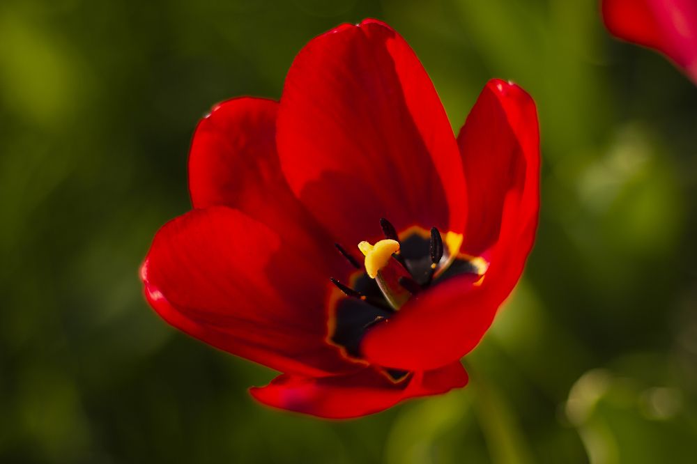 Photograph by Татьяна Кучерова