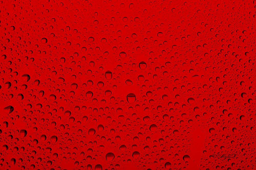 Photograph by Юрий Левко