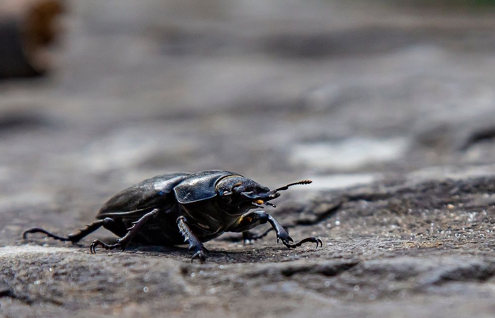 Photograph by Андрей Ларин