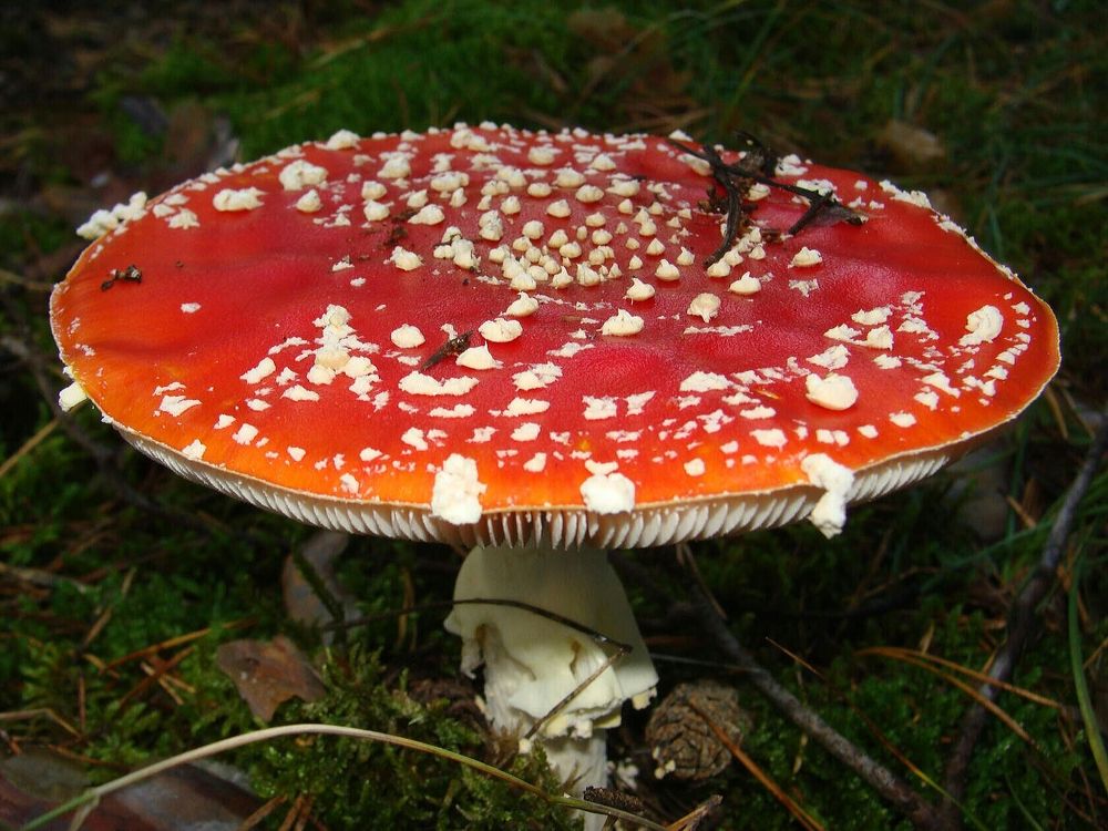 Фотография автора Павел Попов