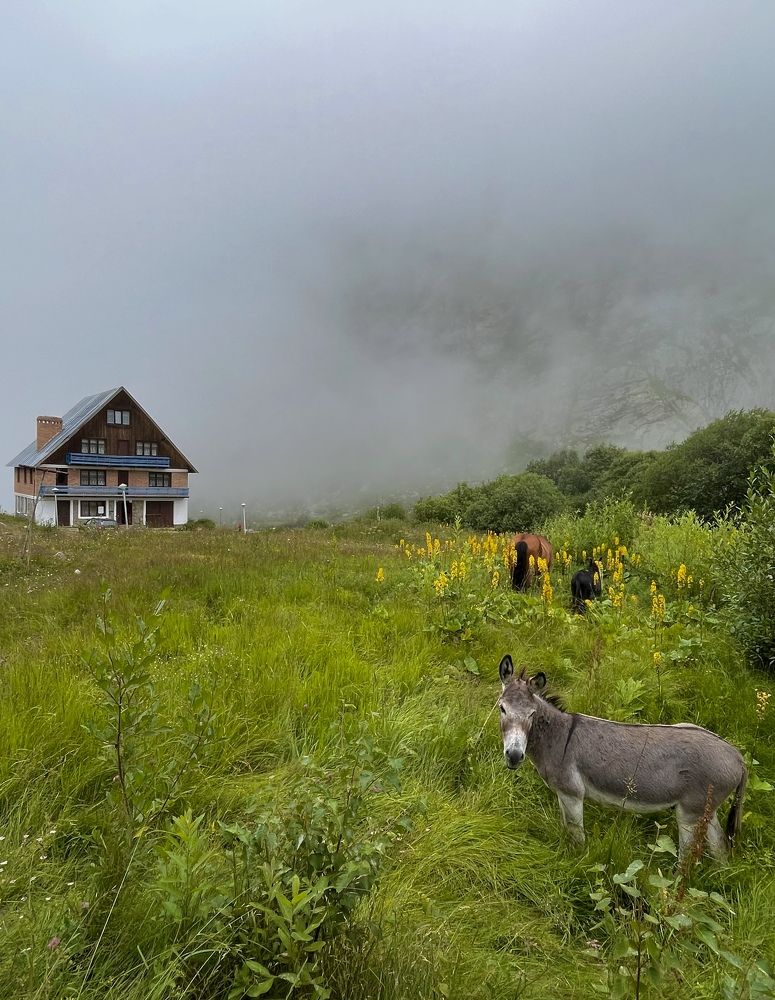 Photograph by Марина Белянских