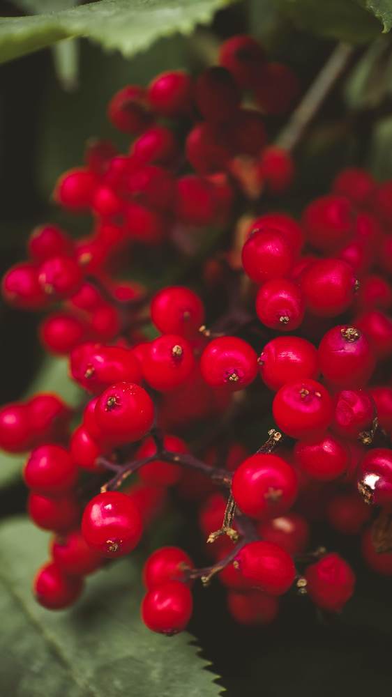 Фотография автора Марина Алексеевская