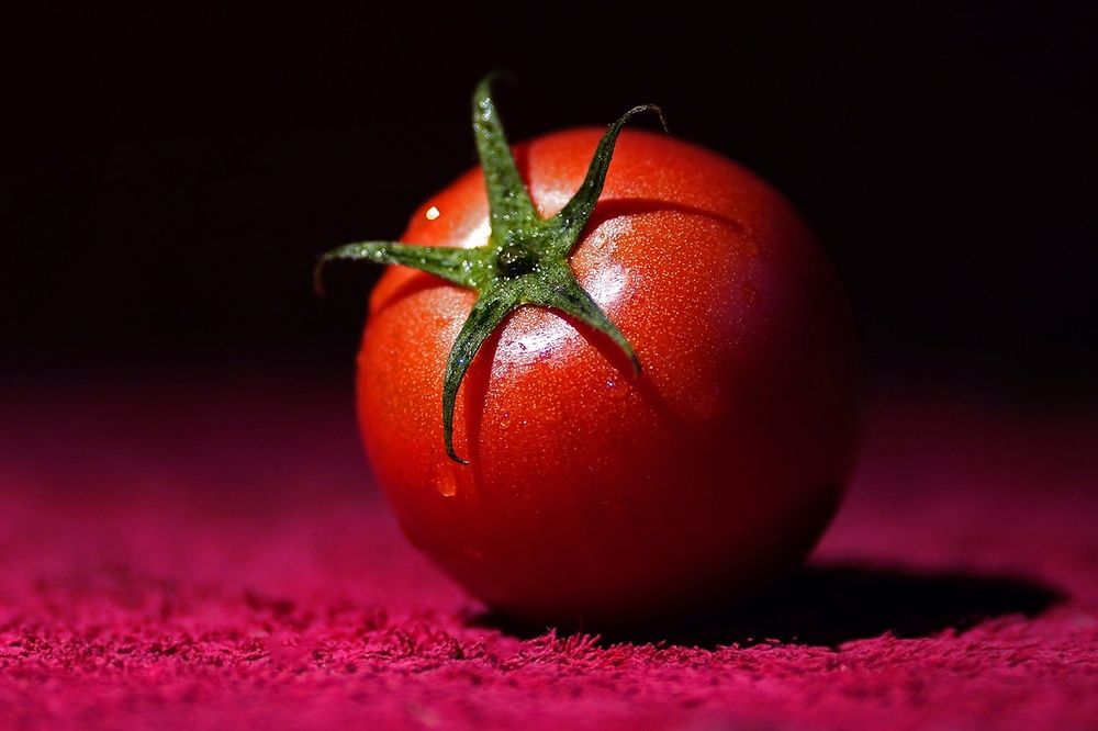 Photograph by Владимир Салапонов