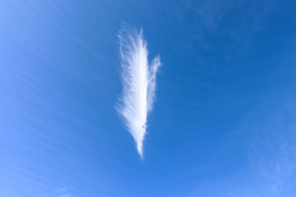 Photograph by Адриана