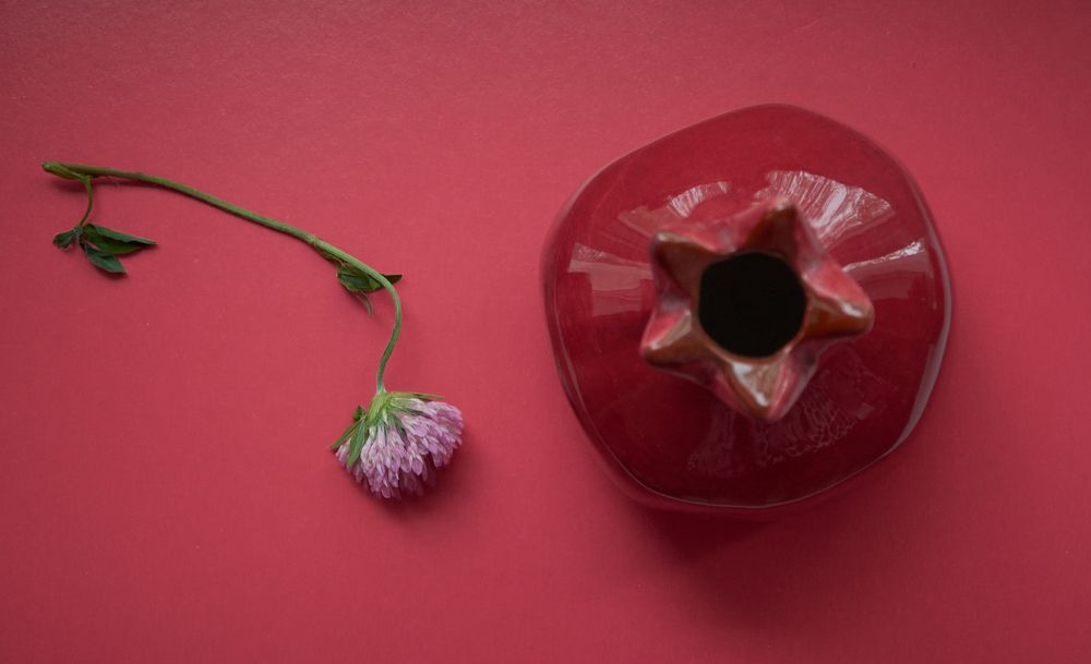 clover and red vase on the red background