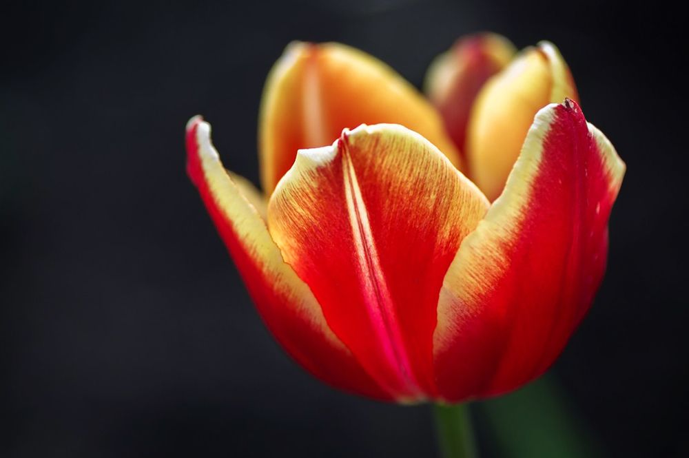 Photograph by Владимир Салапонов