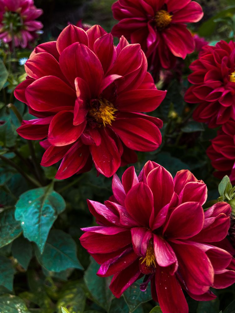 Photograph by Лия Маликова