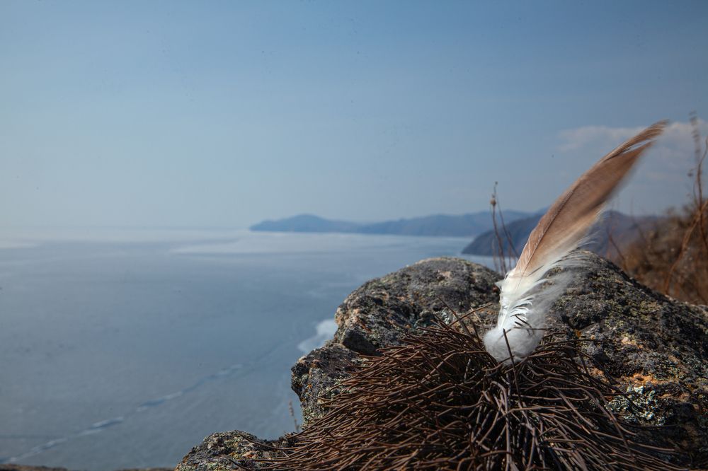 Photograph by Денис Дорошенко