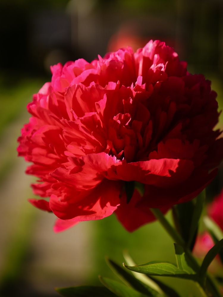 Photograph by Екатерина Слепнева