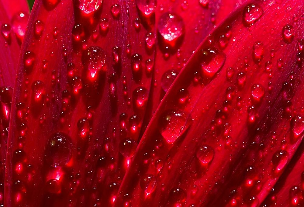 Photograph by Владимир Салапонов