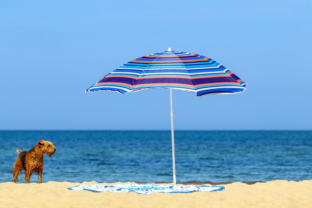 Photograph by Адриана