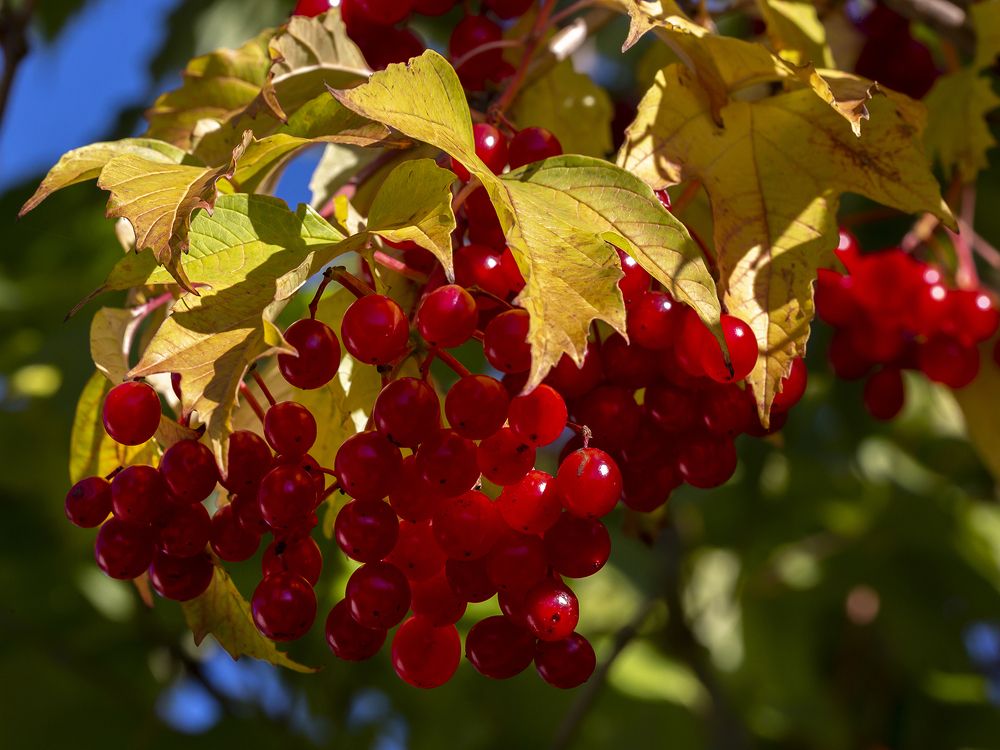 Photograph by Олег Тетерин