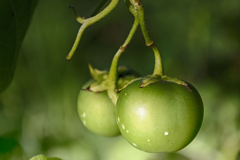 Photograph by Сергей