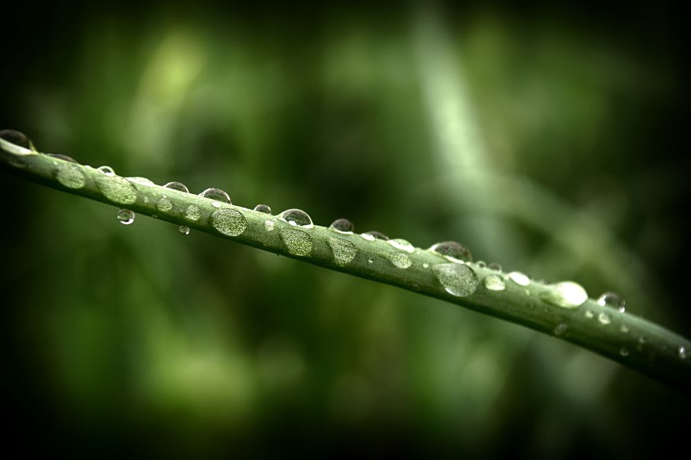 Photograph by Сергей