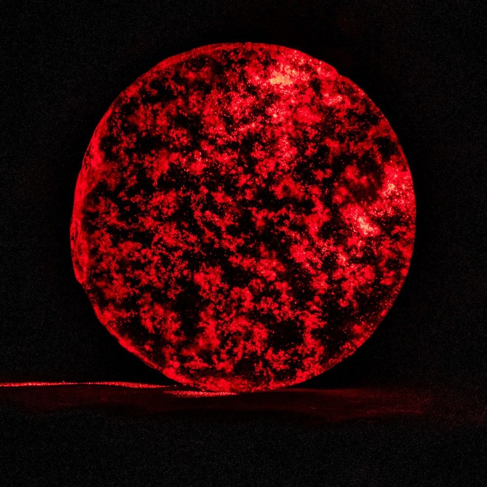 Photograph by Алексей Логинов