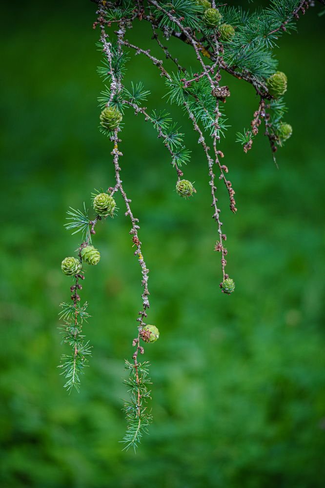 Photograph by Valdis Serzhans
