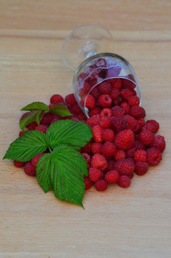 Photograph by александр фетисов