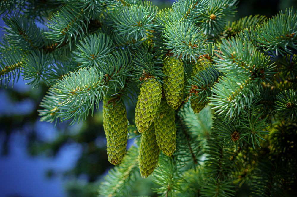 Photograph by Valdis Serzhans