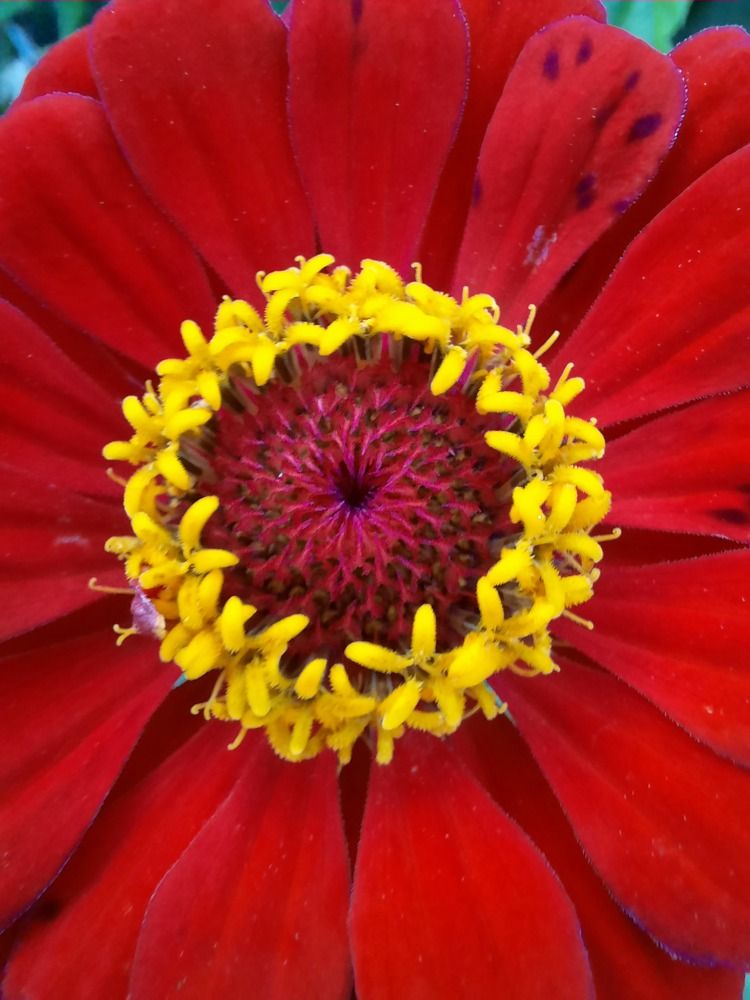 Photograph by Ольга