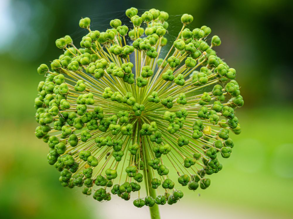 Photograph by Valdis Serzhans