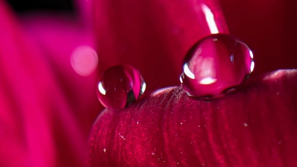 Фотография автора Subham Durgey