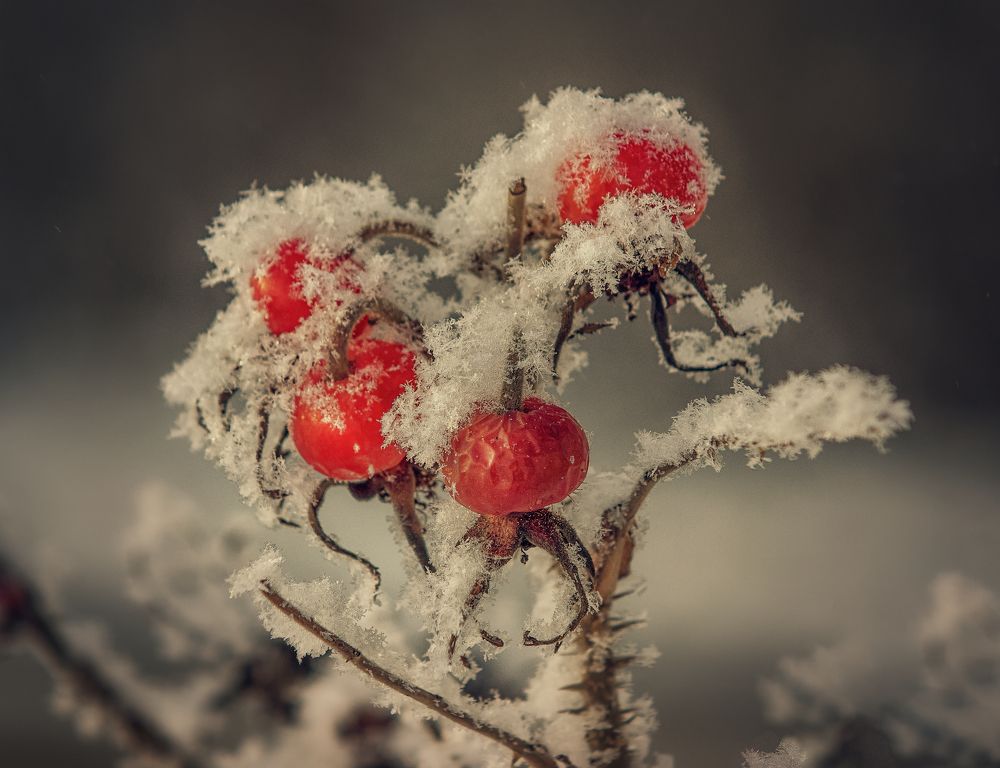 Photograph by Светлана Инькова