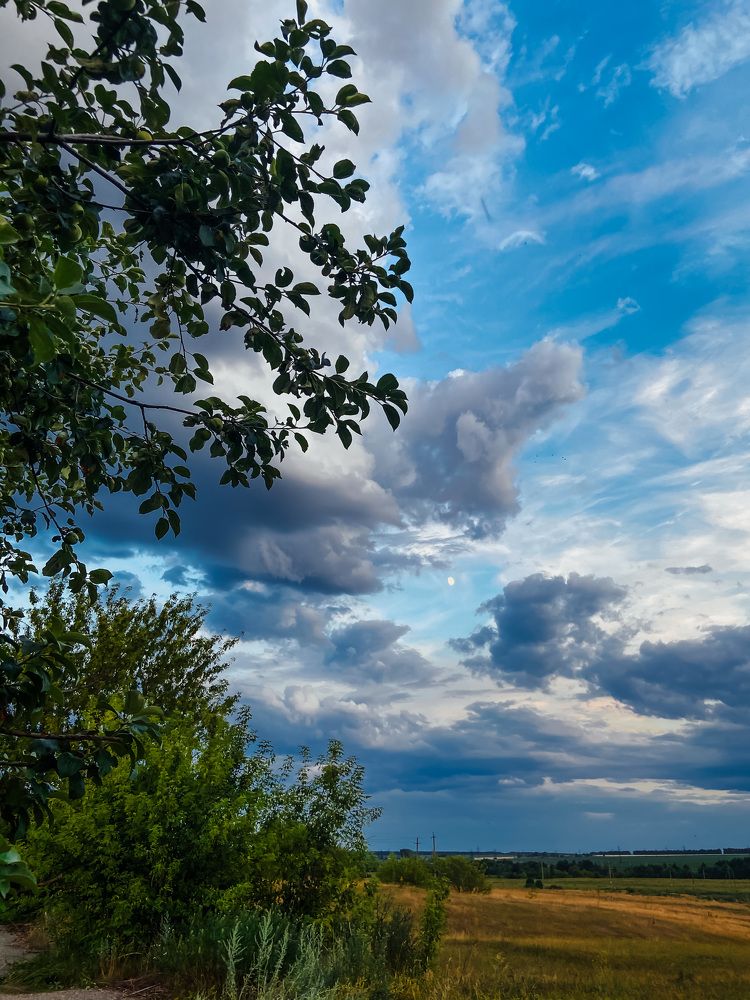 Photograph by Анна Леонова