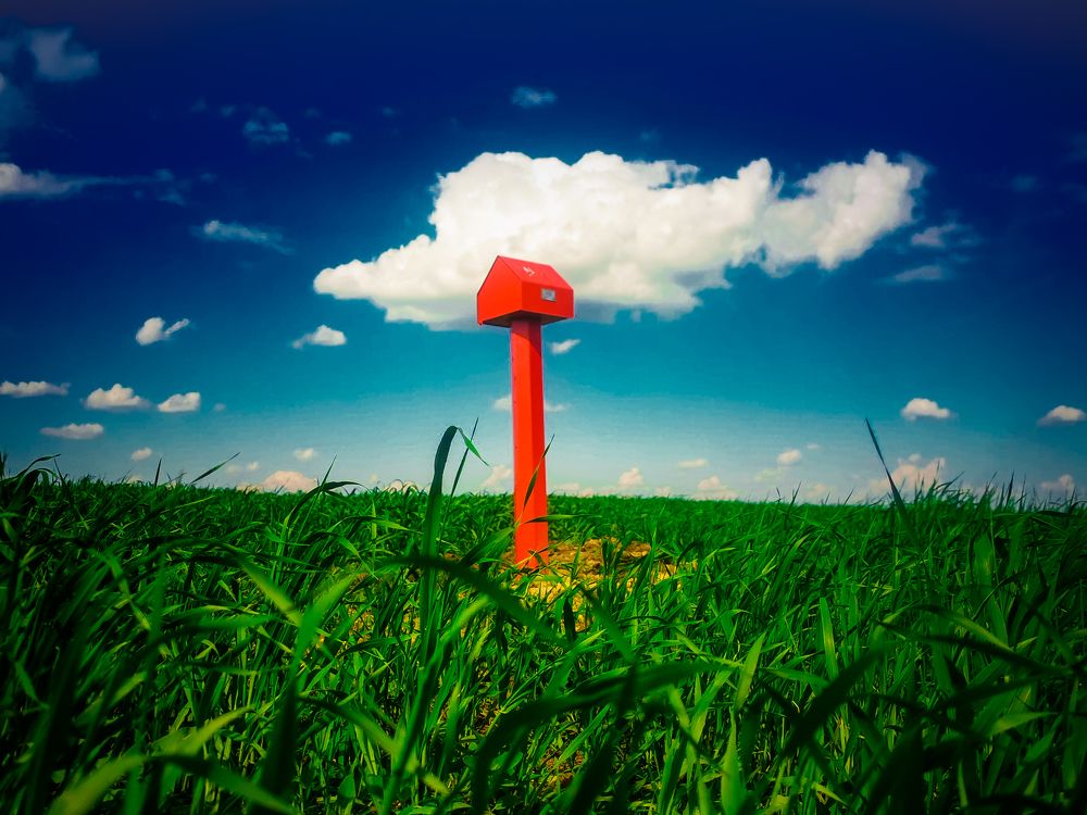 Photograph by Максим Шарыгин