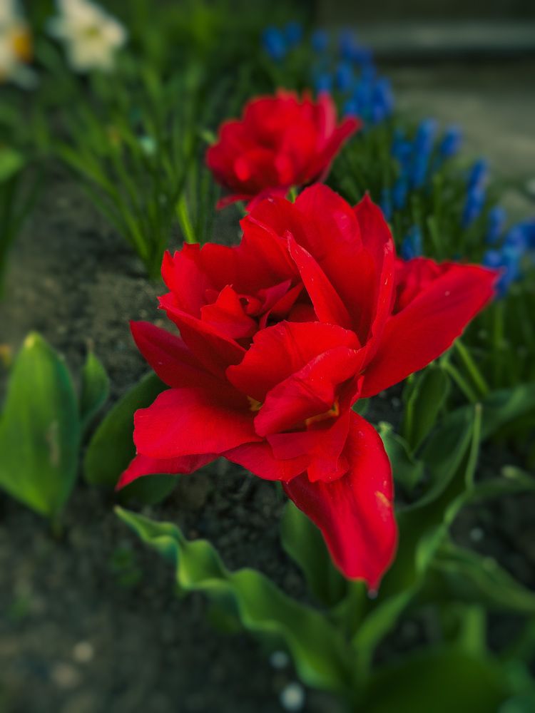 Photograph by Ольга Скиба