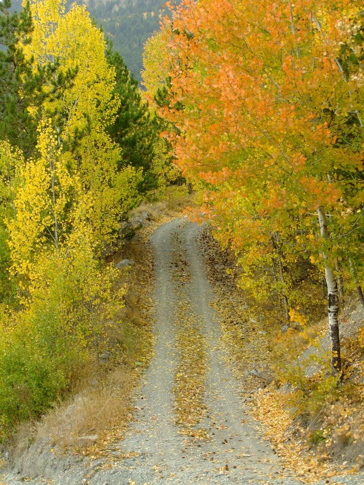 Photograph by Cengiz Yalcin