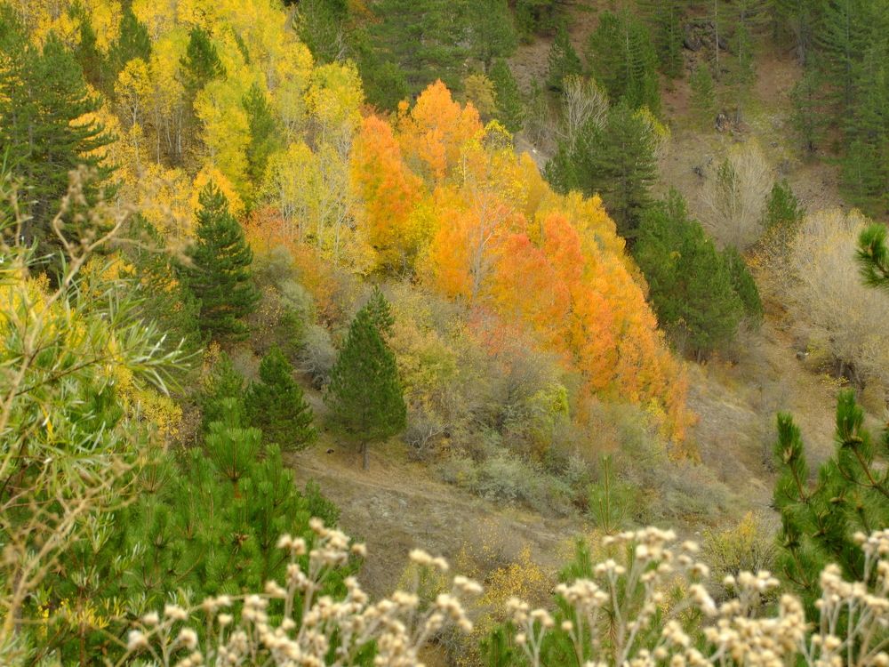 Photograph by Cengiz Yalcin