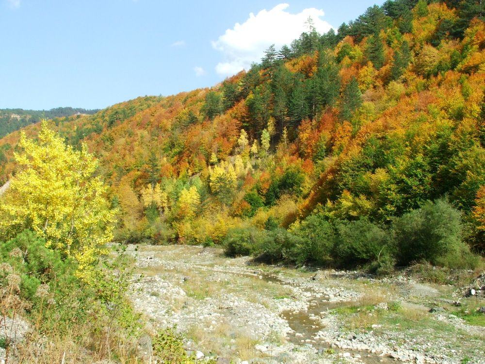 Photograph by Cengiz Yalcin