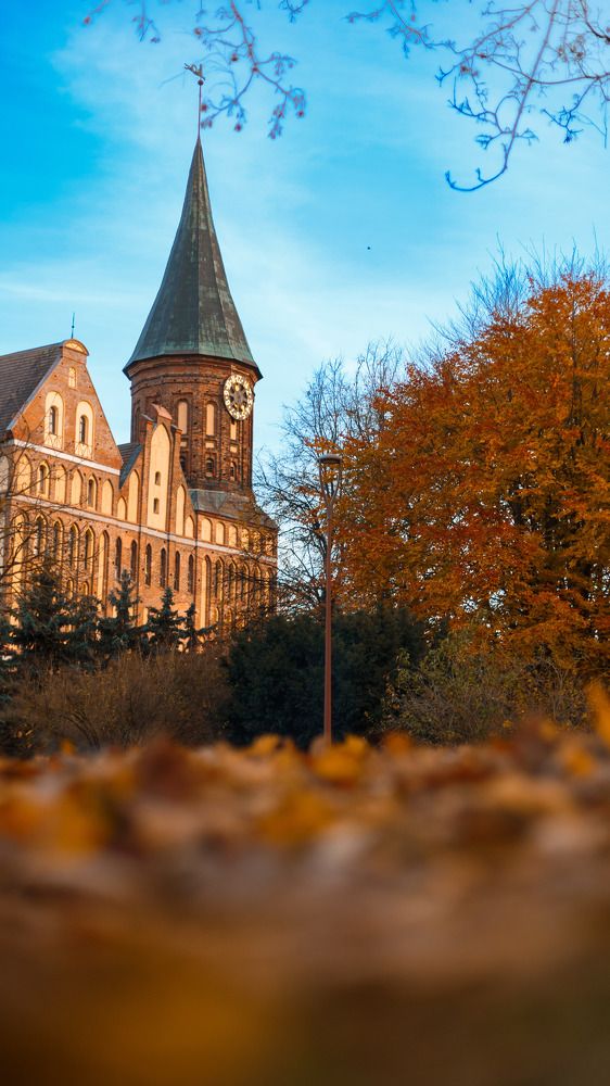 Photograph by Дмитрий Грошиков